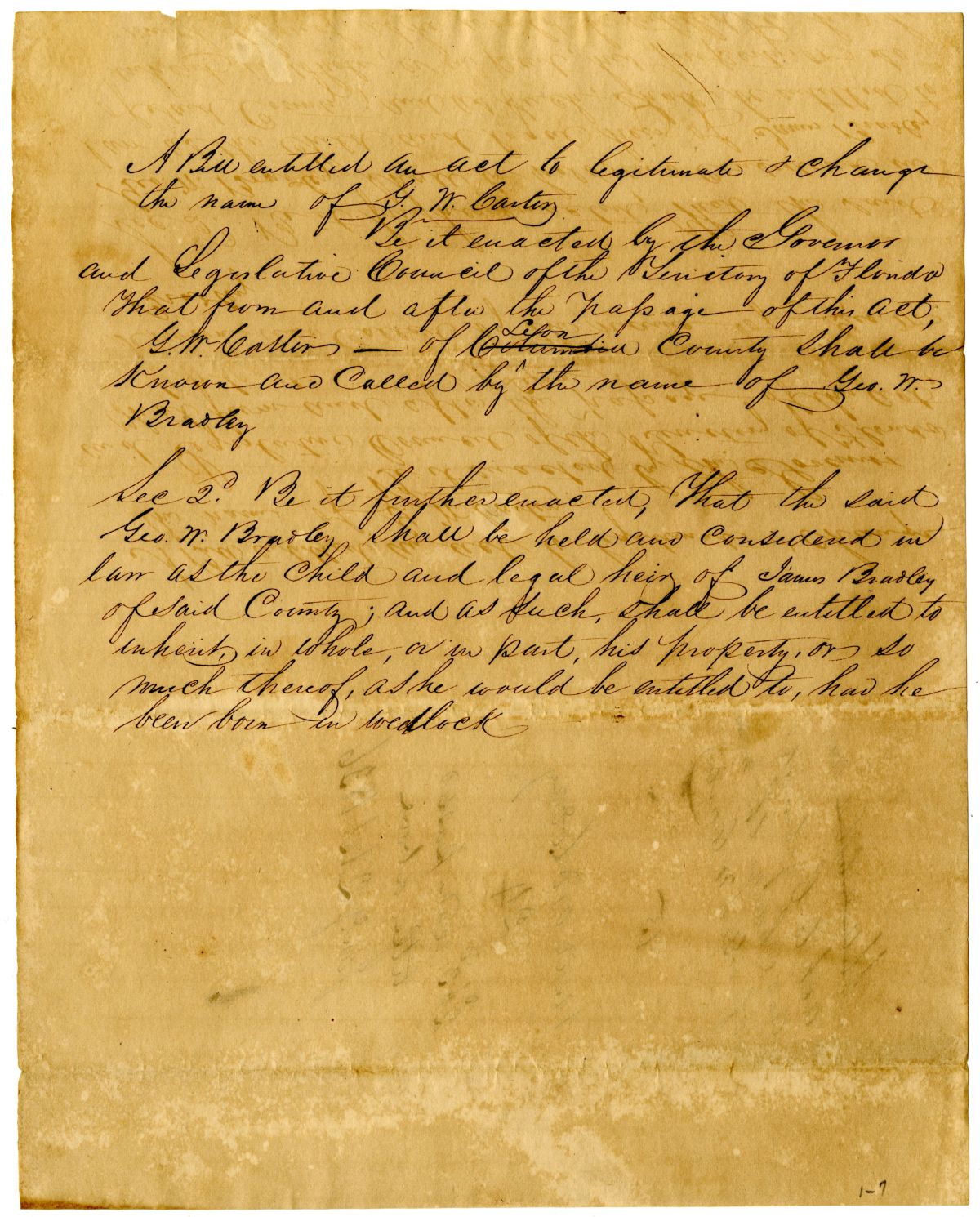 Draft of an Act to Legitimate and Change the Name of George W. Carter, 1836