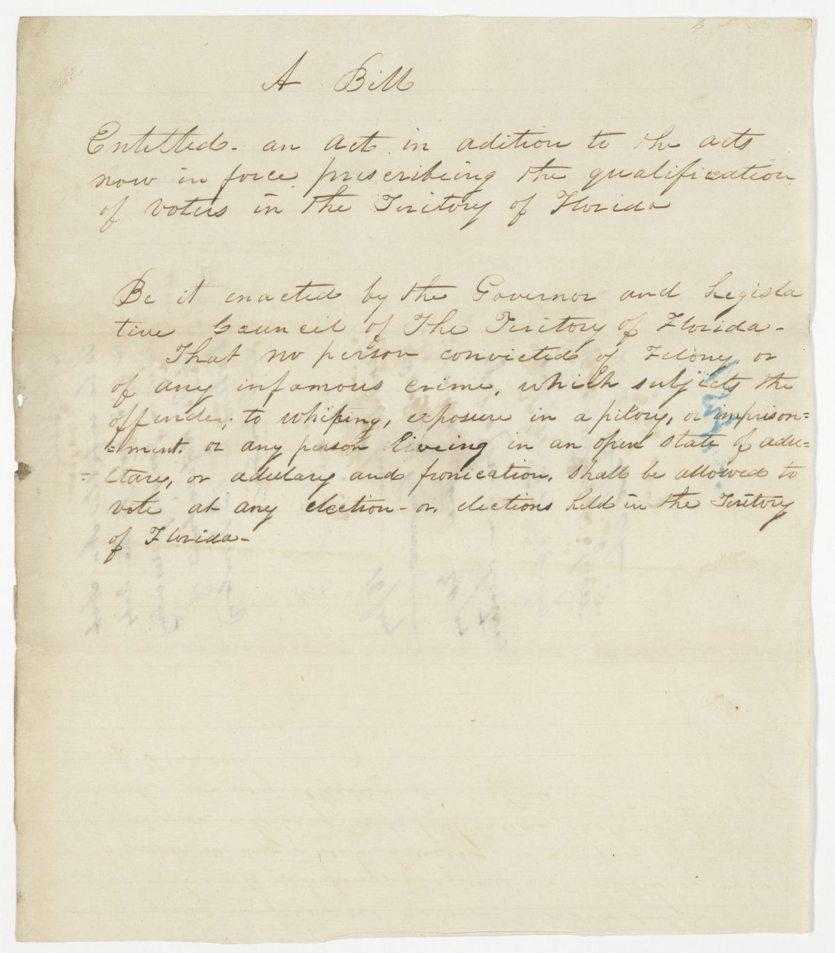 Draft of an Act in Addition to the Acts Now in Force Prescribing the Qualifications of Voters, circa 1842