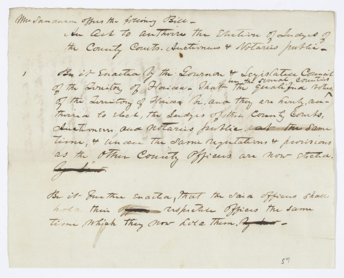 Draft of an Act to Authorize the Election of Judges of the County Courts, Auctioneers and Notaries Public, 1844