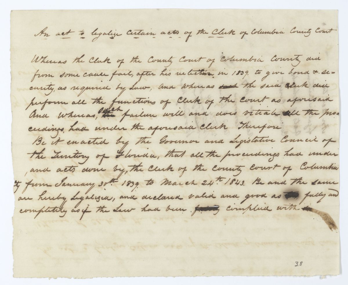 Draft of an Act to Legalize Certain Acts of the Clerk of the Columbia County Court, 1844