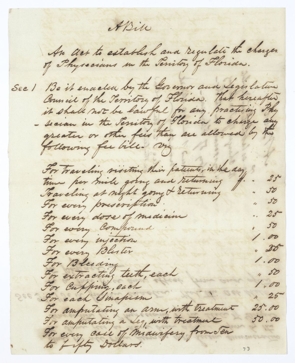 Draft of an Act to Establish and Regulate the Charges of Physicians in the Territory of Florida, circa 1845