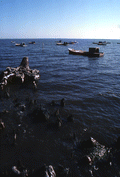 Oyster boats at Indian Pass.