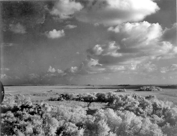 The Shark River Valley: The Times Democrat Expedition’s destination.