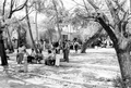 Family members and friends of Cuban refugees in Key West during the Mariel Boatlift.