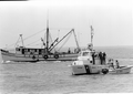 Coast Guard cutter inspecting Metamorphosis returning from Mariel, Cuba with refugees - Key West, Florida.