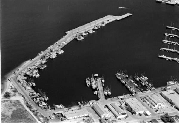 Aerial view of impounded vessels seized by the U.S. Coast Guard during the Mariel Boatlift Blockade. Photograph by Dale McDonald, 1980.