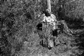 Agnes Cypress looking for more medicinal plants to collect- Big Cypress Seminole Indian Reservation, Florida