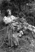 Agnes Cypress collecting medicinal herbs and plants- Big Cypress Seminole Indian Reservation, Florida