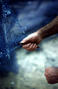 Billy Burbank II repairing a fishing net - Fernandina Beach, Florida