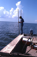 Oystering with tongs - Apalachicola, Florida.