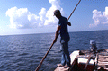 Oystering with tongs - Apalachicola, Florida.