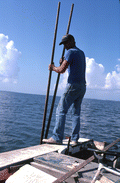 Oystering with tongs - Apalachicola, Florida.