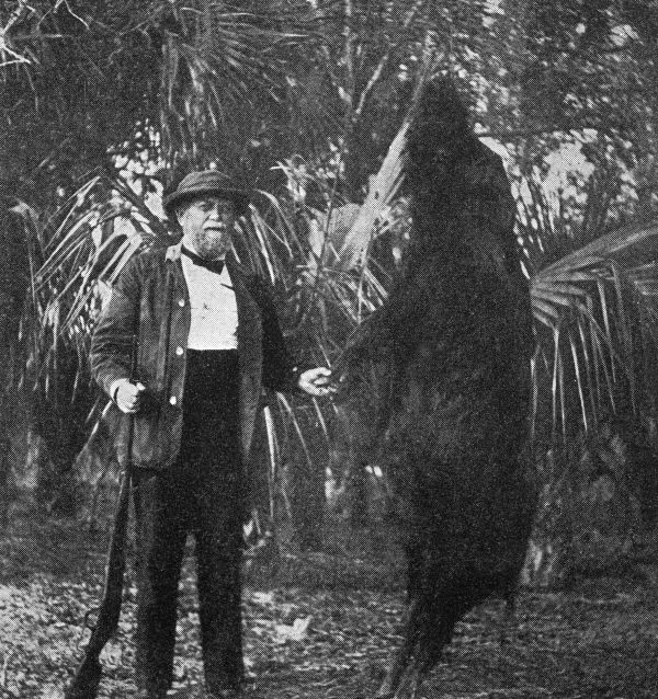 Dr. Raymond Vaughn Pierce with a recently killed wild boar on St. Vincent Island (1909).