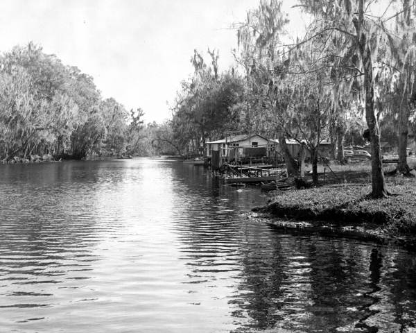 Looking up the Aucilla River near Nutall Rise. The Horne fish camp and other houses are located on the east bank at right (circa 1950s).