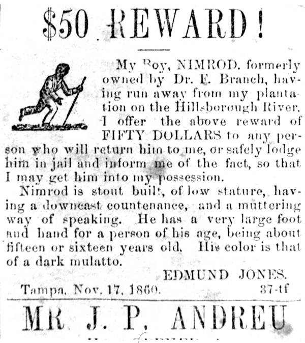 Tampa newspaper advertisement offering a reward for the return of a runaway slave (November 17, 1860)