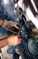 Rickey Doublerly knitting a fishing net : Jacksonville, Florida (photographed by Gregory Hansen, 1988)