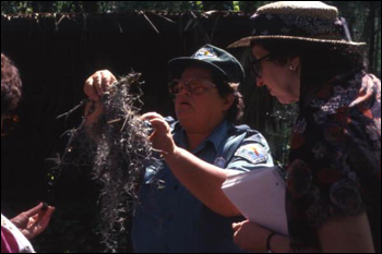 Florida Park Service Environmental Protection employee showing Spanish Moss to visitors during tour at the Hernando de Soto State Archaeological Site : Tallahassee, Florida.