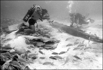 Marine archaeologists investigating ship wreckage : Upper Matecumbe Key, Florida