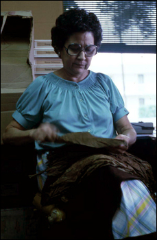 Mrs. Rafael Martinez sorting tobacco leaves for cigars: Miami, Florida (not after 1980)