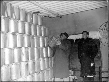 Frozen citrus concentrates in cold storage: Haines City, Florida (1946)