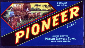 Pioneer Growers Cooperative's Pioneer Brand citrus label (1986)