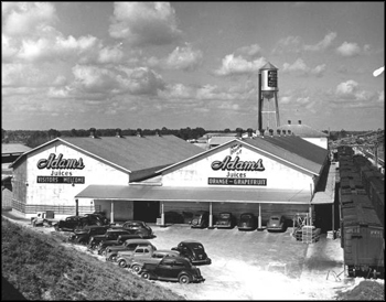 Adams packing house for oranges and grapefruit: De Leon Springs, Florida (ca. 1940s)