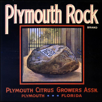 Plymouth Citrus Growers Association's Plymouth Rock brand citrus label: Plymoth, Florida (mid 1900s)