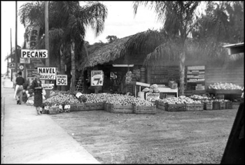 Roadside fruit stand (ca. 1940s)