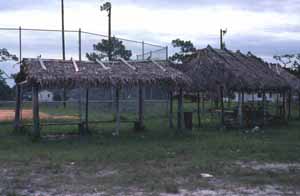 Seminole Indian chickee huts by baseball field at the Big Cypress Indian Reservation (ca. 1980)