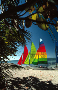 Hobie Cat sailboats on Smathers Beach at the end of South Roosevelt Boulevard: Key West, Florida (1989)