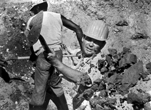 State Senator Bob Graham working road construction with Triple R Paving during workday: Fort Lauderdale, Florida (1978)