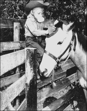 Young rider, Patty Blackmon grooms her horse Buck: Ocala, Florida (1948)