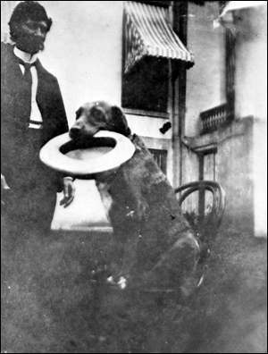 Florida Secretary of State H. Clay Crawford with dog in front of the state capitol: Tallahassee, Florida (190-?)