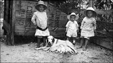 Theon Revell, Guy Revell, and Clinton Ashmore standing next to a dog and her puppies