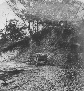 Pre-Columbian shell mound on the East Coast (c. 1900)