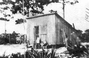 George Morikami's wooden shack: Yamato, Florida (1911)