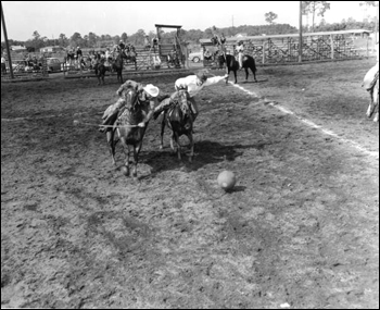 Cowboys play polo: New Smyrna Beach, Florida (1954)