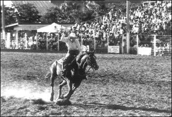 Cowwoman throws out her lasso: Homestead, Florida