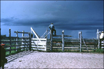 Cowboys standing on top of the corral fence (1961)