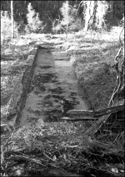 Remains of a 1922 dipping vat, near Natural Bridge: Leon County, Florida (1980)