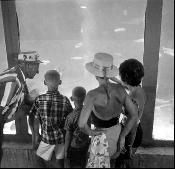 Family enjoying themselves at Gulfarium: Fort Walton Beach, Florida (1963)