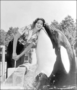 Killer whale Shamu "kisses" a woman in Sea World: Orlando, Florida