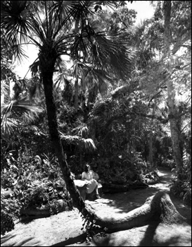 A young woman taking a break at McKee Jungle Gardens: Vero Beach, Florida (194-)