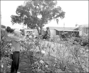 Mr. Paul E. Linthieum tends to the garden near the trailers: Fort Lauderdale, Florida (1967)