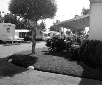 View of the Miami Heights Trailer Park: Miami, Florida (1967)