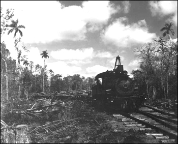 Trains pulling lumber: Copeland, Florida (ca. 1948)