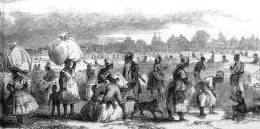 Detail from drawing depicting aspects of the cotton trade