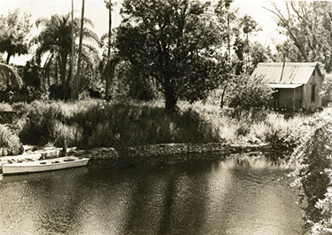 Original cottage of Gustave Damkohler, from whom Teed first acquired land in Estero in 1894; the Koreshans later used this cottage as their medical office