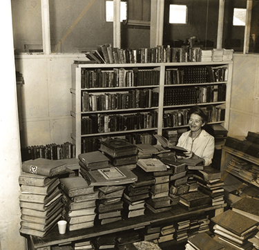 Hedwig amongst publications in the Koreshan Unity Library, Estero