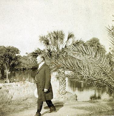 Teed strolling by the Estero River